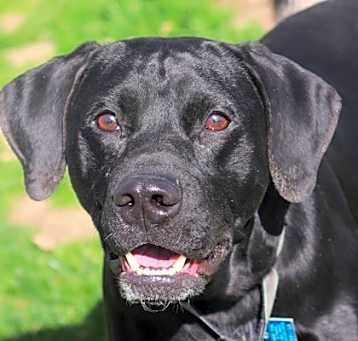 Photo of Finnegan