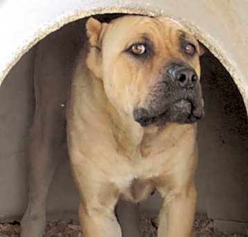 Photo of Mary Jane