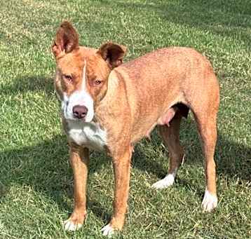 Photo of Gretchen
