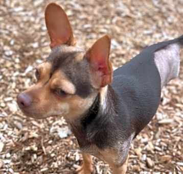 Photo of CISCO