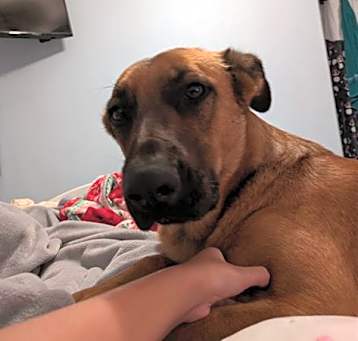 Photo of NOVA