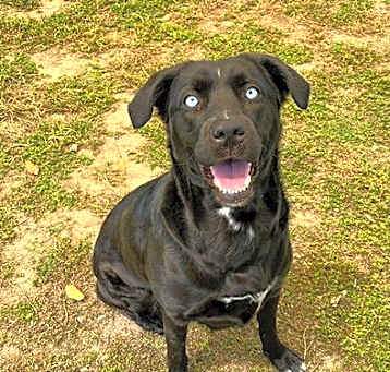 Photo of ROXY
