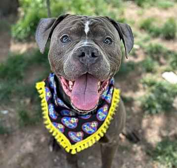 Photo of Zeus