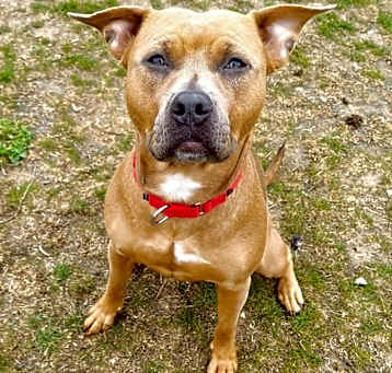 Photo of Nala