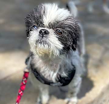 Photo of Mia