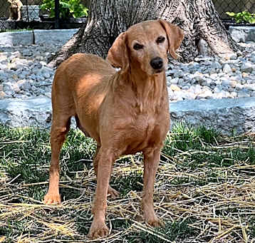 Photo of Olivia 