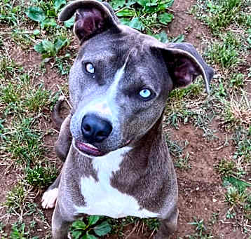 Photo of Sokka