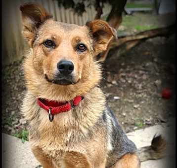 Photo of Missy