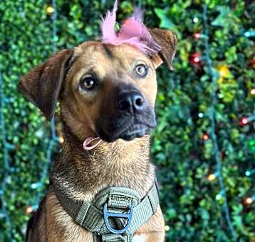 Photo of Kiki