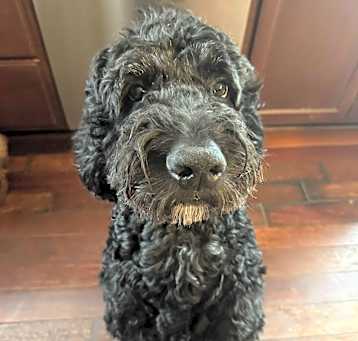 Photo of Jack