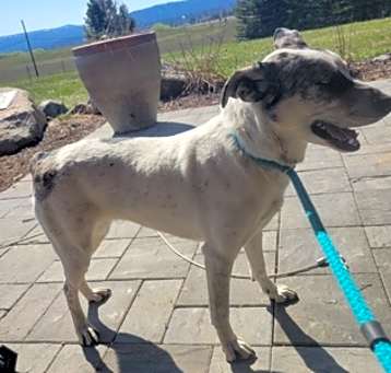 Photo of Skye