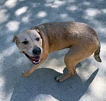 Photo of ROXY