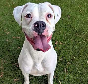 Photo of Luna Mara - 1