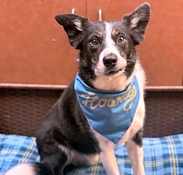 Photo of Shilo