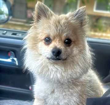 Photo of Jax