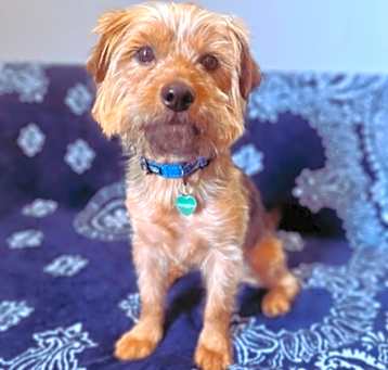 Photo of REGGIE