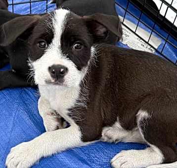 Photo of NY Marvin (Foster Carmel)