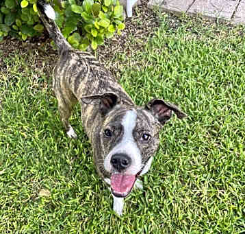 Photo of Cleo
