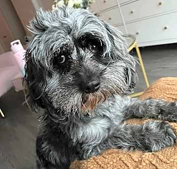 Photo of Josephine