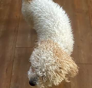 Photo of Lucas