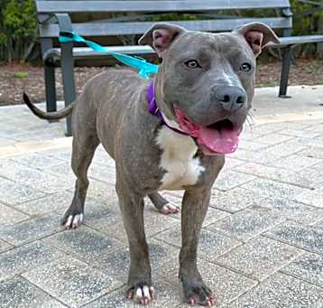 Photo of Lucky