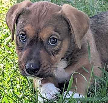Photo of Aspen