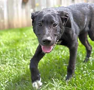 Photo of Rex