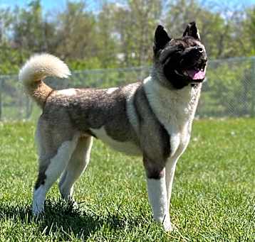 Photo of Yuki