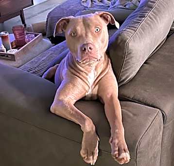 Photo of Finn