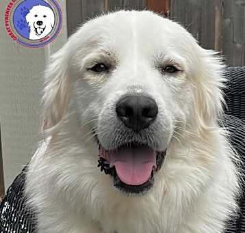 Photo of Teddy