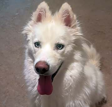 Photo of Aspen