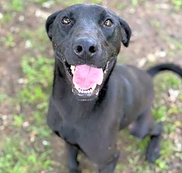 Photo of Finley