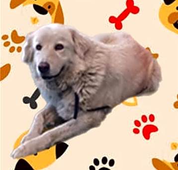 Photo of ROSITA