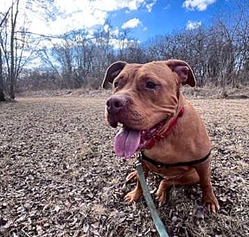 Photo of Little Mama
