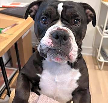 Photo of Mitzi