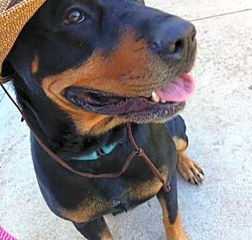 Photo of Nala Mae