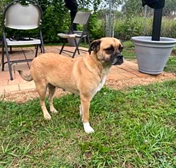 Photo of Lucy