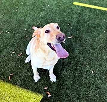 Photo of Gus