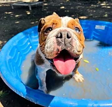 Photo of Athena