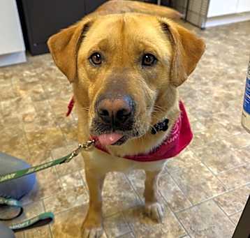 Photo of Buddy