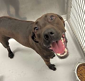Photo of Remington
