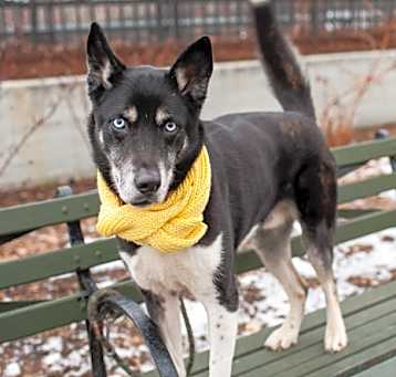Photo of Kona