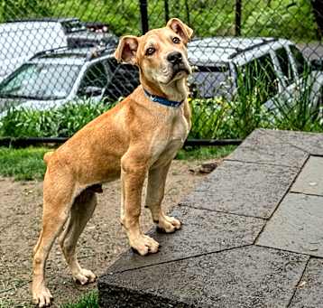 Photo of Simon