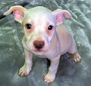 Photo of Gladys