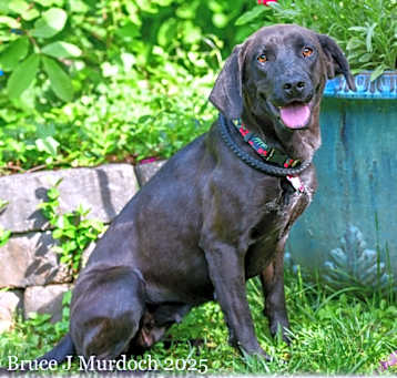 Photo of Sola