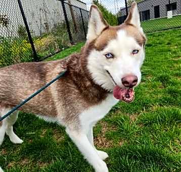 Photo of Arya