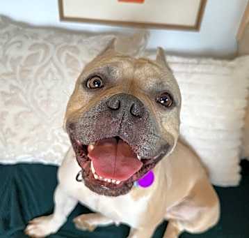 Photo of Nola Jane