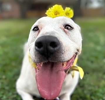 Photo of Cami the Cuddly Cutie