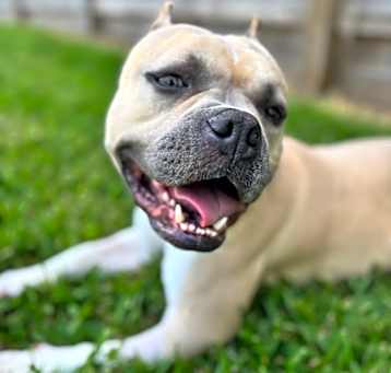Photo of Nola Jane