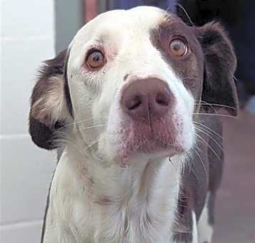 Photo of Harley